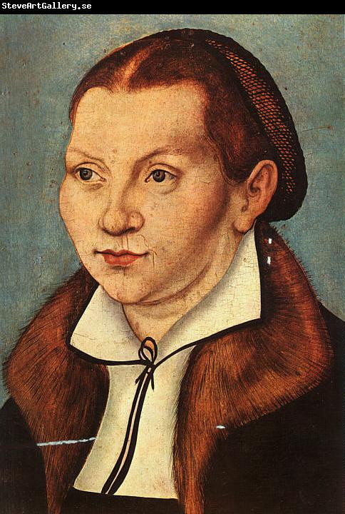 Lucas  Cranach Portrait of Katharina von Boyra